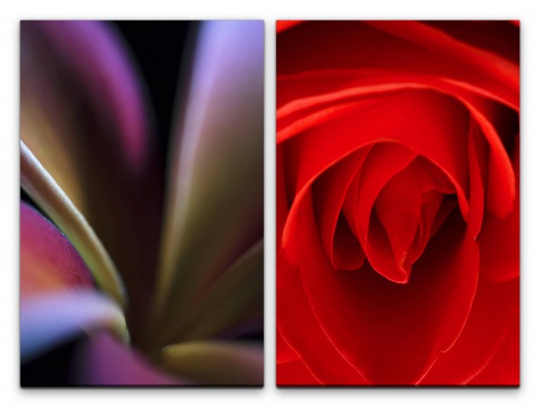 2 Bilder je 60x90cm Rose rote Blüte Dessous Kunstvoll Nahaufnahme Romantisch Schlafzimmer