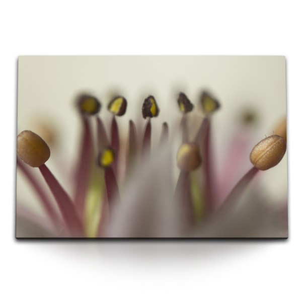 120x80cm Wandbild auf Leinwand Makrofotografie Blume Blüte Kunstvoll Fotokunst
