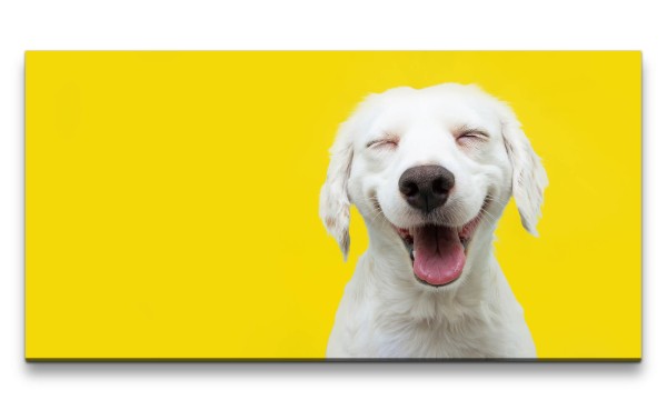 Leinwandbild 120x60cm Cooler Hund Freundlich Lustig Süß Glücklich Gelb