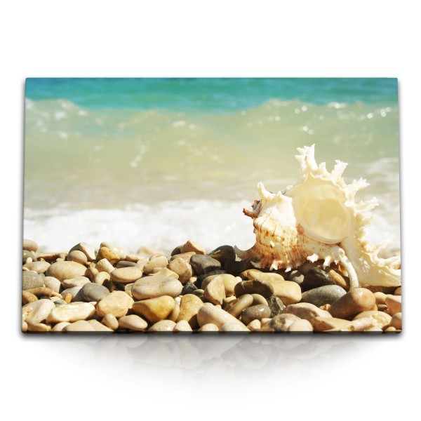 120x80cm Wandbild auf Leinwand Meeresschnecke Muschel Strand Meer runde Steine