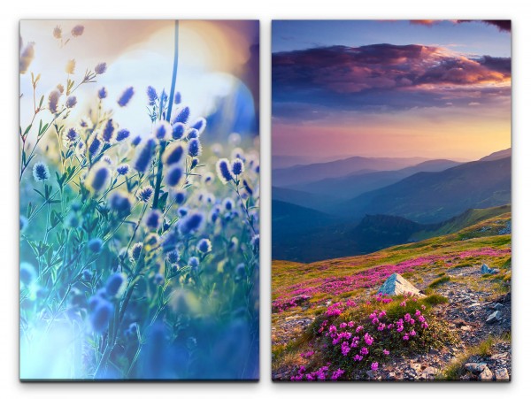 2 Bilder je 60x90cm Bergwiese Alpen Berge Blumen Sommer Sonnenstrahlen Stille
