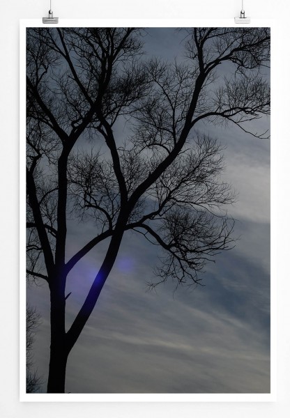 Naturfotografie  Einsame Baumkrone vor grauem Himmel 60x90cm Poster