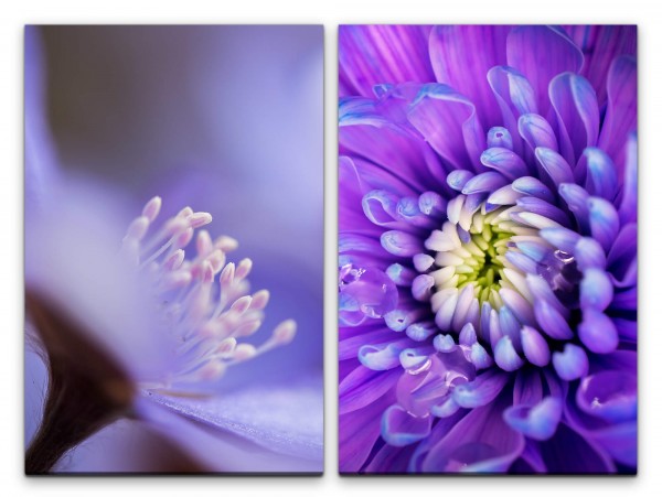 2 Bilder je 60x90cm Zinnien Blumen Duftend Sommer Blüte Dekorativ Makrofotografie
