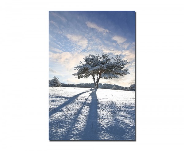 120x60cm Schnee Baum Schatten Winter