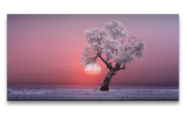 Leinwandbild 120x60cm Einsamer Baum Frost Sonne Horizont Vögel Märchenhaft