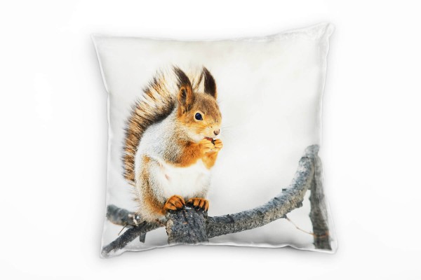 Tiere, Eichhörnchen, orange, braun, weiß Deko Kissen 40x40cm für Couch Sofa Lounge Zierkissen
