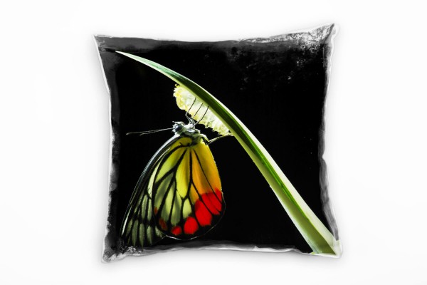 Macro, Tiere, grün, rot, Schmetterling Deko Kissen 40x40cm für Couch Sofa Lounge Zierkissen