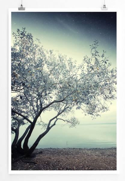 Landschaftsfotografie 60x90cm Poster Einsamer Baum am Ufer eines Flusses