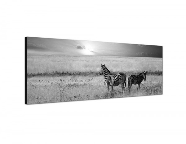 150x50cm Afrika Zebras Wiese Sonnenuntergang