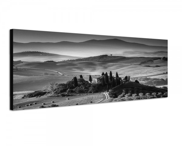 150x50cm Italien Toskana Landschaft Weinberge