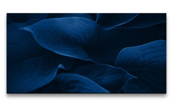 Leinwandbild 120x60cm Fotokunst Blätter Nahaufnahme Dekorativ Kunstvoll Dunkel