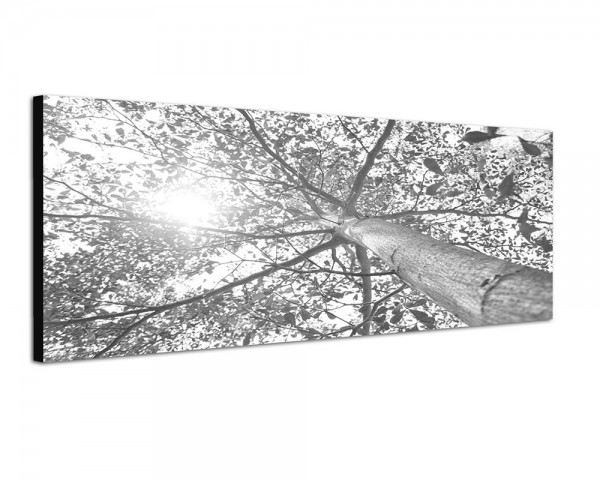 150x50cm Baumkrone Blätter Frühling Sonnenlicht