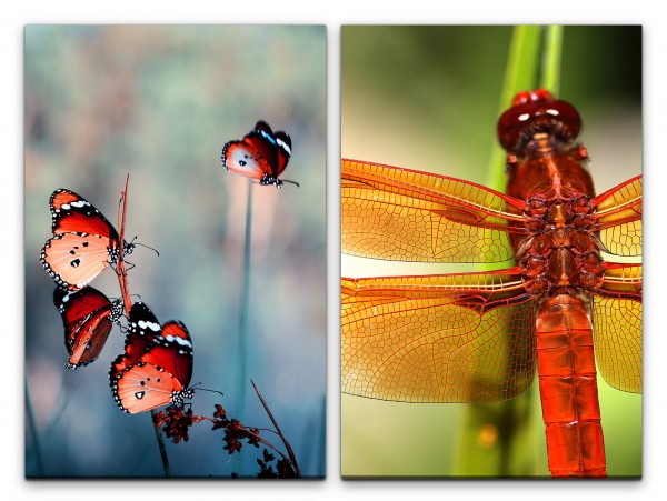 2 Bilder je 60x90cm Schmetterlinge Sommer Libelle Leben Zart Fotokunst Makrofotografie