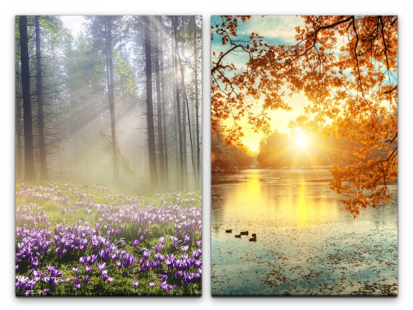 2 Bilder je 60x90cm Wald Waldblumen See Enten warmes Licht Natur Erholsam