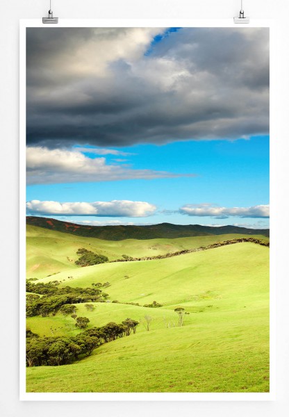 60x90cm Landschaftsfotografie Poster Graslandschaft in Neuseeland