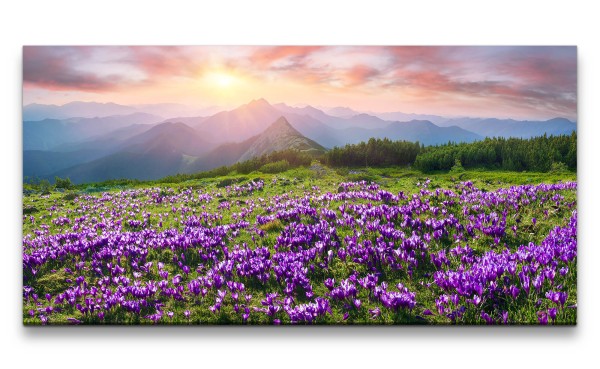Leinwandbild 120x60cm Alpen Berge Wildblumen Landschaft Natur Wunderschön
