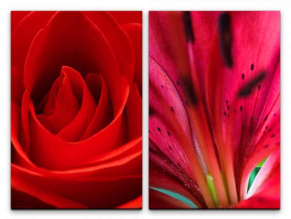 2 Bilder je 60x90cm Rose Blüten Sommer Duftend Dekorativ Romantisch Makrofotografie