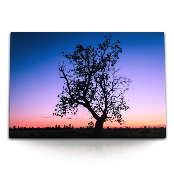 120x80cm Wandbild auf Leinwand Abenddämmerung Baum Landschaft roter Horizont