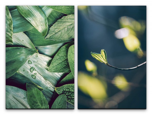 2 Bilder je 60x90cm Blätter Pflanzen Zweig Frühling Frisch Harmonie Sanftmut