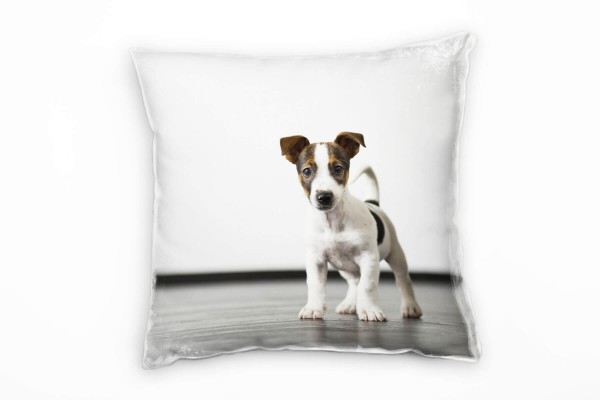 Tiere, grau, braun, weiß, kleiner Wachhund Deko Kissen 40x40cm für Couch Sofa Lounge Zierkissen