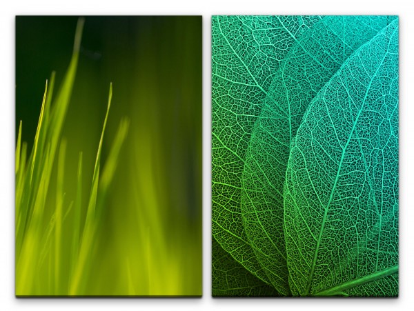 2 Bilder je 60x90cm Gras Grashalme Blätter Blattstruktur Blattadern Grün Beruhigend
