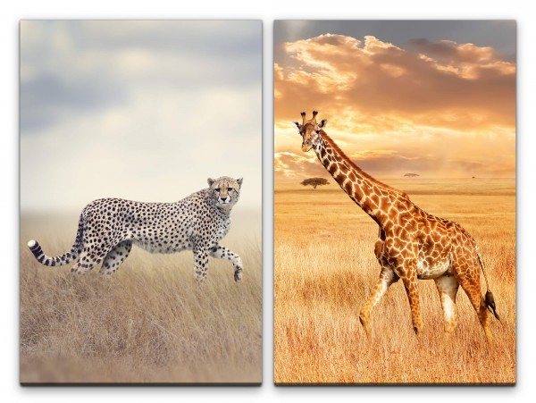 2 Bilder je 60x90cm Gepard Giraffe Afrika Wildnis Wolken Safari Steppe