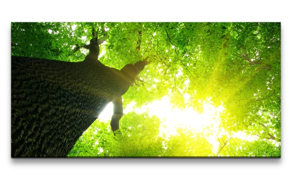 Leinwandbild 120x60cm Baum Baumkrone Sonnenstrahlen Grün Natur Entspannend