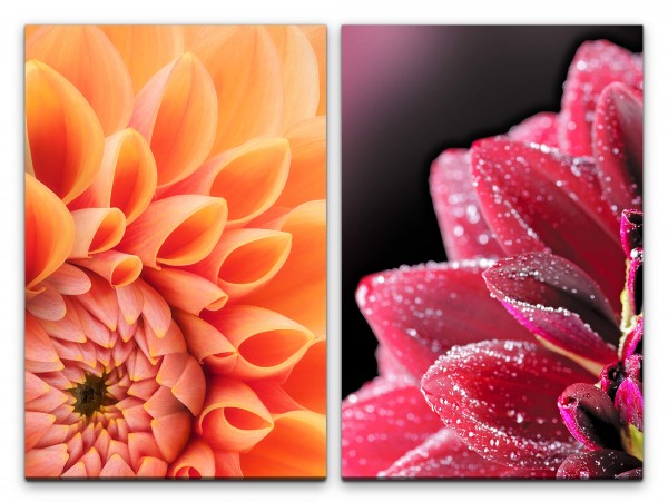 2 Bilder je 60x90cm Dahlie Zinnien Sommerblumen Blüten Harmonisch Entspannend Makrofotografie