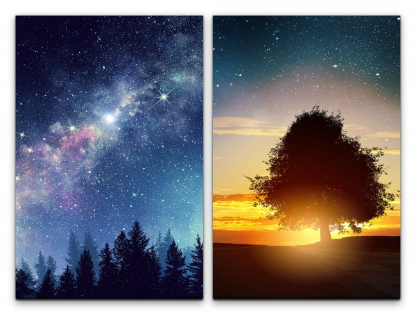 2 Bilder je 60x90cm Sterne Sternenhimmel Sommernacht Baum Milchstraße Tannenwald Träumerisch