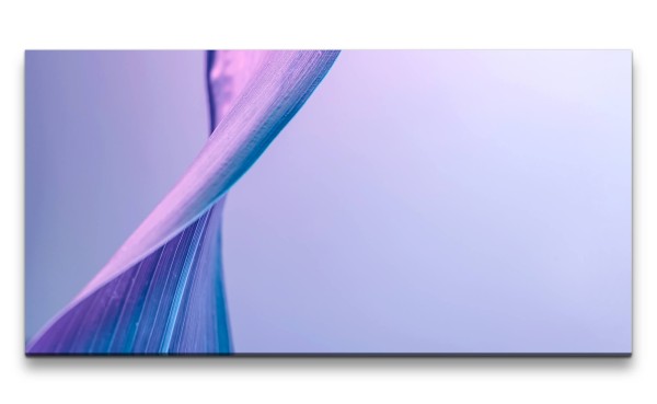 Leinwandbild 120x60cm Makrofotografie Blatt Blattstruktur Kunstvoll Dekorativ Blau