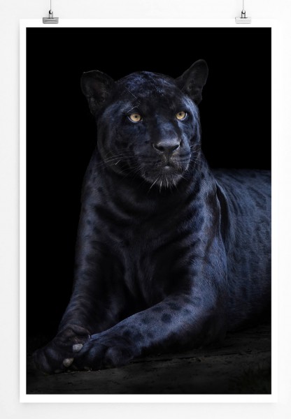 Seltener schwarzer Jaguar 60x90cm Poster