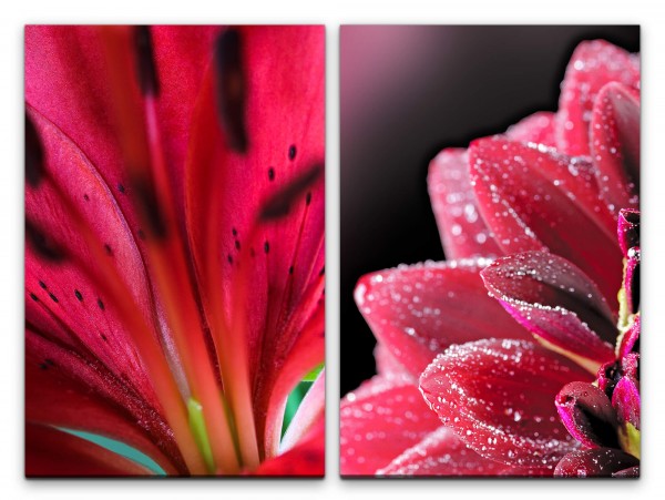 2 Bilder je 60x90cm Orchidee Zinnien Rote Blumen Stimmig Wärme Fotokunst Makrofotografie
