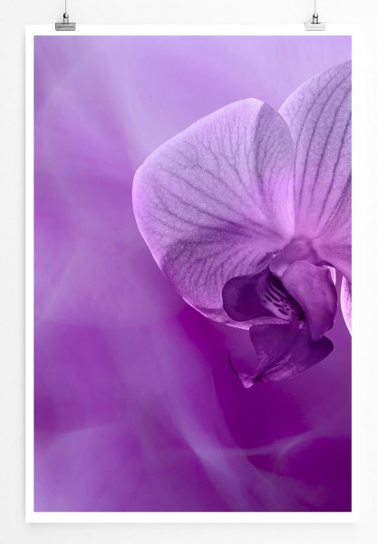 60x90cm Naturfotografie Poster Lila Orchidee auf lila Hintergrund