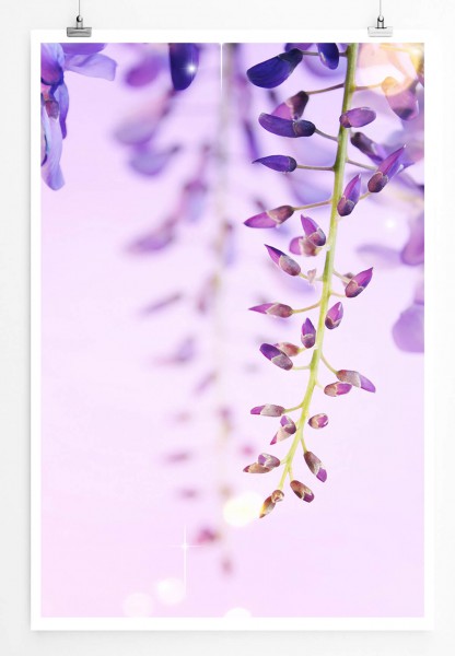 60x90cm Poster Naturfotografie  Lilane Frühlingsblumen