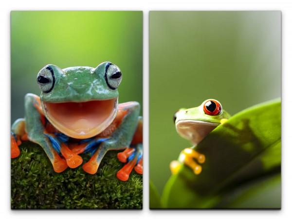 2 Bilder je 60x90cm fröhlicher Frosch Natur Grün Lächeln positive Energie grünes Blatt Dschungel