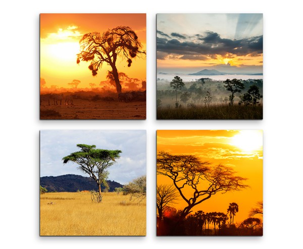 4 teiliges Leinwandbild je 30x30cm - Akazienbaum Afrika Sonnenuntergang Wüste