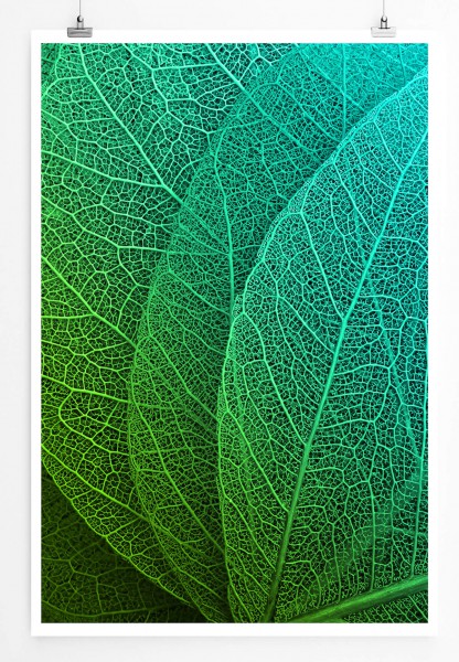 Naturfotografie 60x90cm Poster Grüne Blätter mit Strukturen