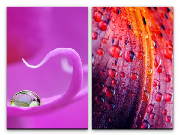 2 Bilder je 60x90cm Orchidee Blüten Wassertropfen Farbenfroh Regentropfen Erfrischend Sanft