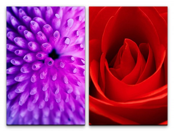 2 Bilder je 60x90cm Rose Blumen Liebe Rot Romantisch Schlafzimmer Makrofotografie
