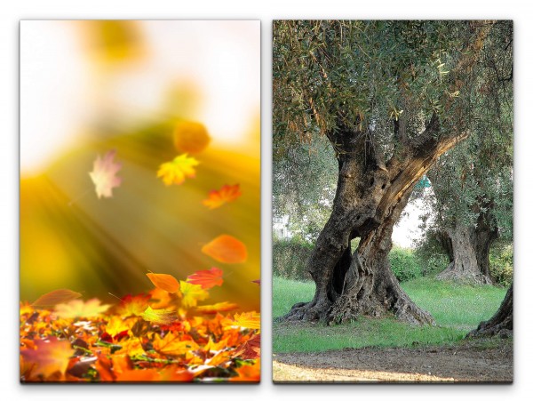 2 Bilder je 60x90cm Herbst Herbstblätter Baum Alter Olivenbaum Gold Grün Natur