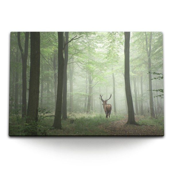 120x80cm Wandbild auf Leinwand Hirsch im Wald Natur Bäume Tierfotografie