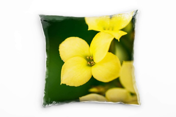 Macro, Blumen, Blüte, gelb, grün Deko Kissen 40x40cm für Couch Sofa Lounge Zierkissen