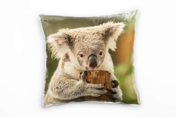 Tiere, Koalabär am Baum, grau, braun, grün Deko Kissen 40x40cm für Couch Sofa Lounge Zierkissen