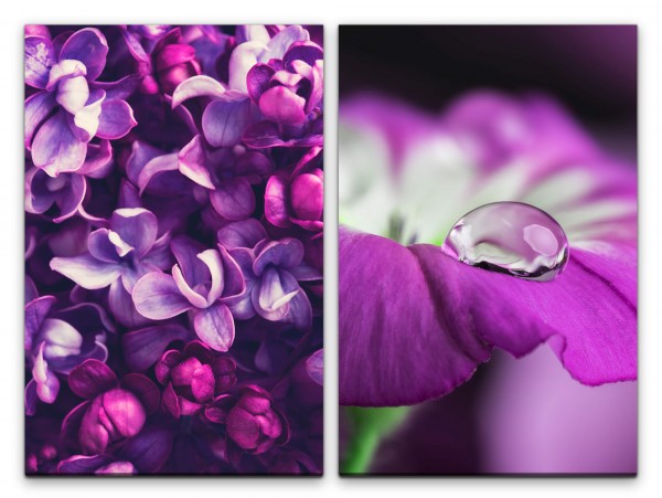 2 Bilder je 60x90cm Blumen Blüten Wassertropfen Violett Blumenstrauß Orchidee Makrofotografie