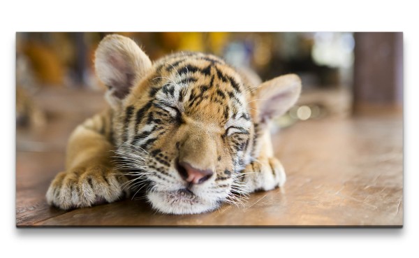 Leinwandbild 120x60cm Kleiner schlafender Tiger Süß Kätzchen Babytiger Niedlich
