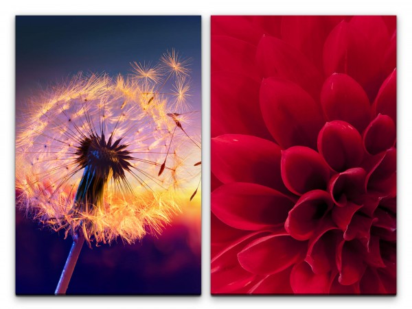 2 Bilder je 60x90cm Dahlie rote Blüte Pusteblume Sommer Abendröte Abenddämmerung Sonnenuntergang