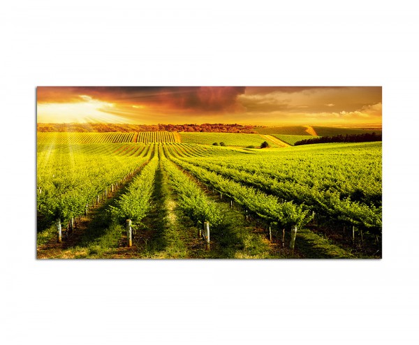 120x60cm Weinbaugebiet Sonnenuntergang Australien