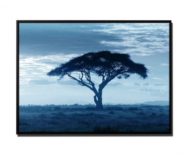 105x75cm Leinwandbild Petrol Akazienbaum Savanne Sonnenuntergang