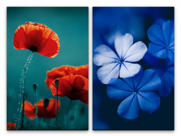 2 Bilder je 60x90cm Blumen Blüten Blau Rot Sommer Zart Makrofotografie