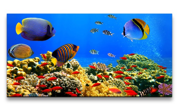 Leinwandbild 120x60cm Korallenriff Bunte Fische unter Wasser Tauchen Ozean